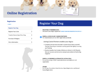 Can You Register a Mixed-Breed Dog