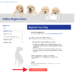 Can You Register a Mixed-Breed Dog
