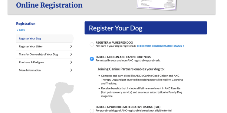 Can You Register Mixed-Breed Dogs