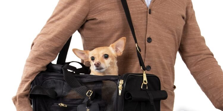 Delta Pet Travel Mix Breed Restriction