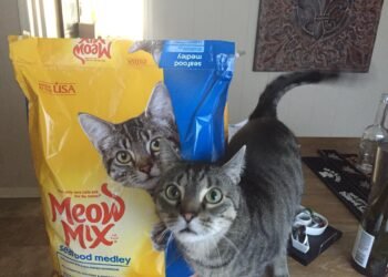 What Breed of Cat is on the Meow Mix Bag