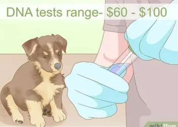 When Do Mixed-Breed Dogs Stop Growing